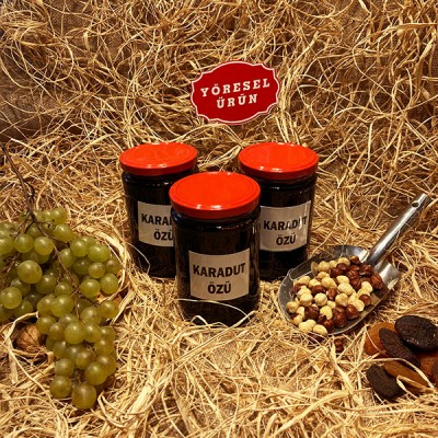 Karadut Özü 850 Gr